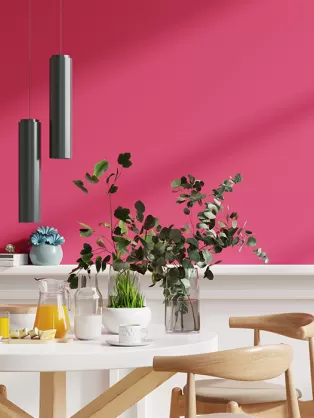 Pink splash dining room idea  