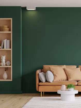 Deep green living room design 
