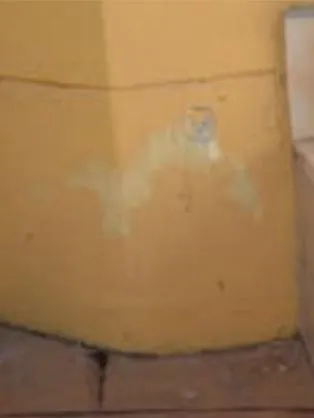 Alkali Attack