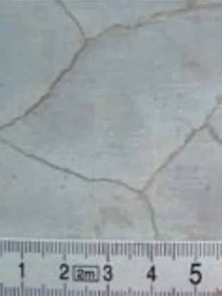 Crazing Plaster Cracks