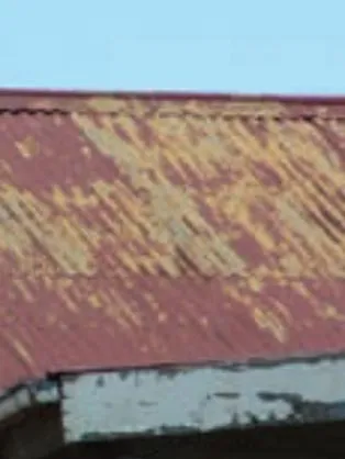 Paint pealing/flaking from Calcium  plumbate primer. (Part 4)