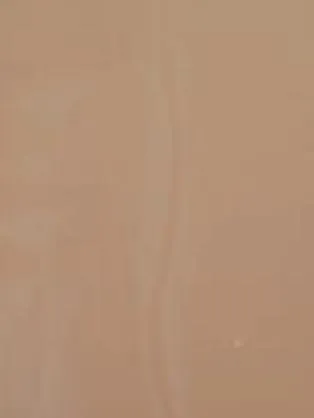 Snail Trail  (Waterbased Matt Paint)